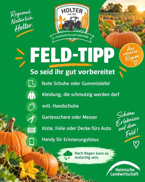 Feld-Tipp: So seid ihr gut vorbereitet