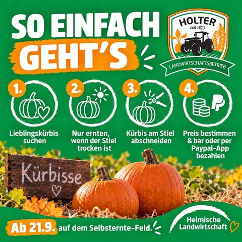 So einfach geht's: Lieblingskürbis suchen, nur ernten wenn der Stiel trocken ist, Kürbis am Stiel abschneiden, Preis bestimmen und bar oder per PayPal-App bezahlen