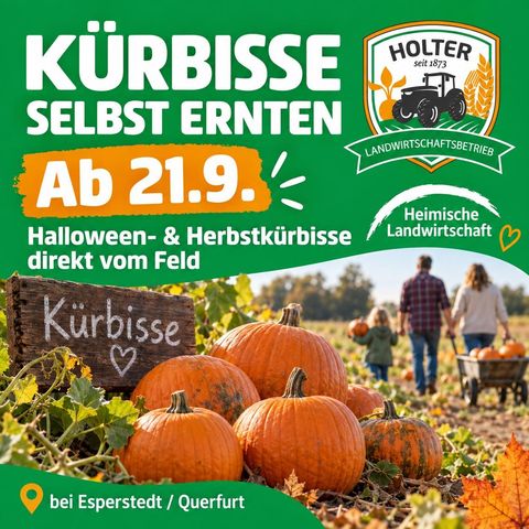 Kürbisse selbst ernten ab 21. September!