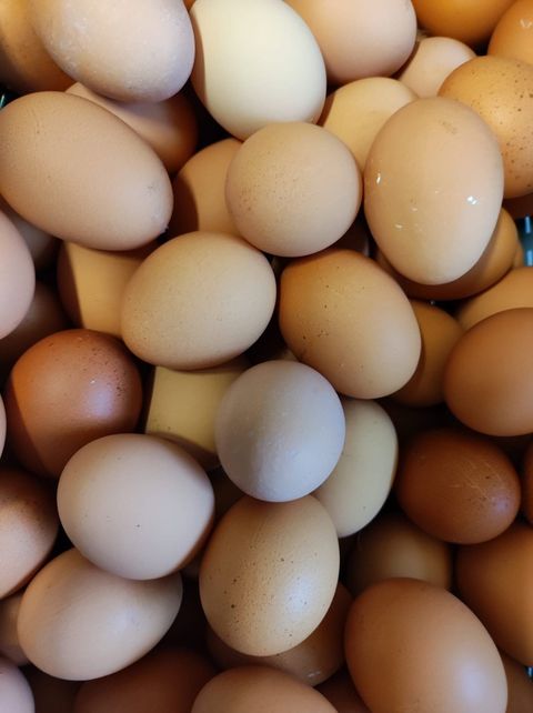 Frische braune und weiße Eier