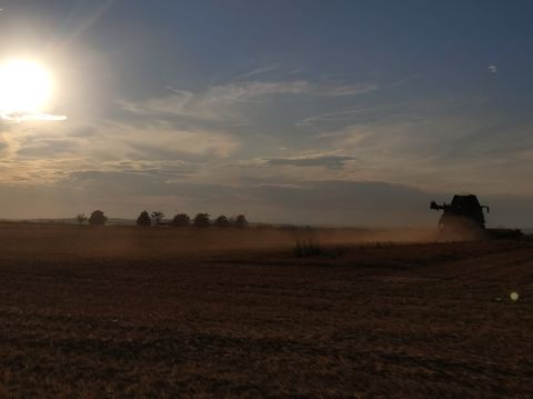 Ernte in der Abenddämmerung