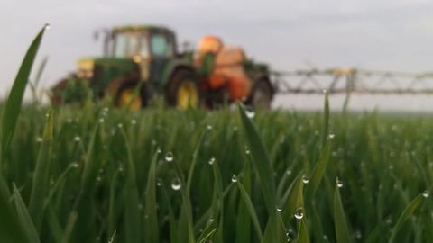 Traktor hinter dem Weizenfeld