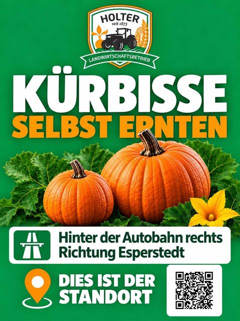 Schild Kürbisse selbst ernten: Hinter der Autobahn rechts Richtung Esperstedt